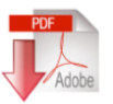 Download do ficheiro pdf