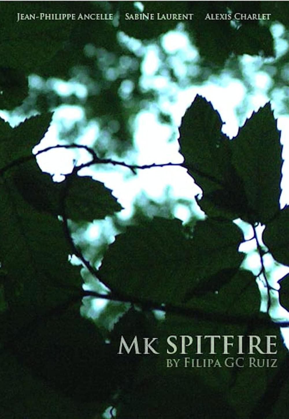 film poster